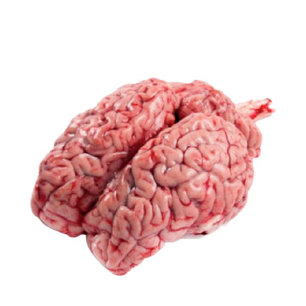 Beef Brain