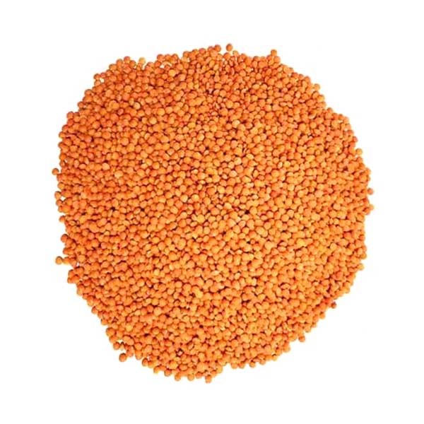 Local Moshur Dal Premium (Bulk)